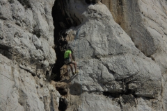 Les calanques avril 16 (71)