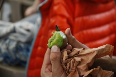 qualif region mai 16 (26)