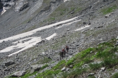 gioberney juin 16 (96)