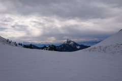 petut som - mauvernay - janvier 17 (4)
