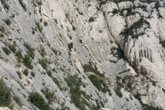 calanques mars 17 (36)