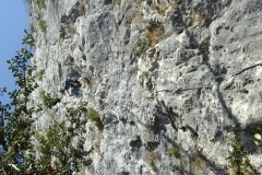b10_35604415981_o