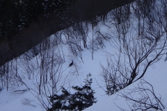 roche fendue janv 18 (8)