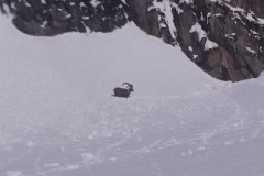 aigleton mars 18 (4)