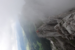 gerbier - juin 2018 (29)