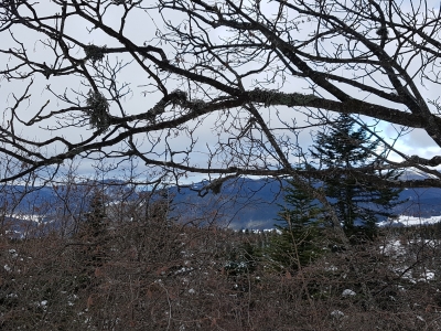 20190127_101630_resized