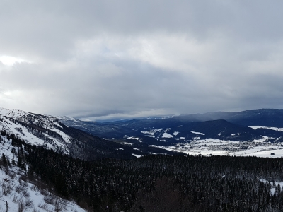 20190127_102836_resized