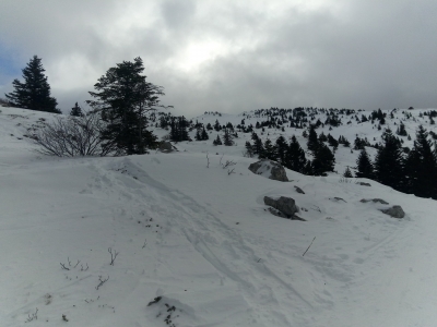 IMG_20190127_110601