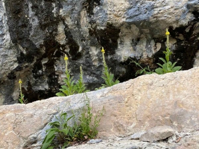 All-Photos-55-sur-112