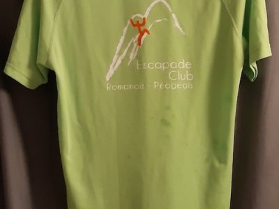 Verso-vert